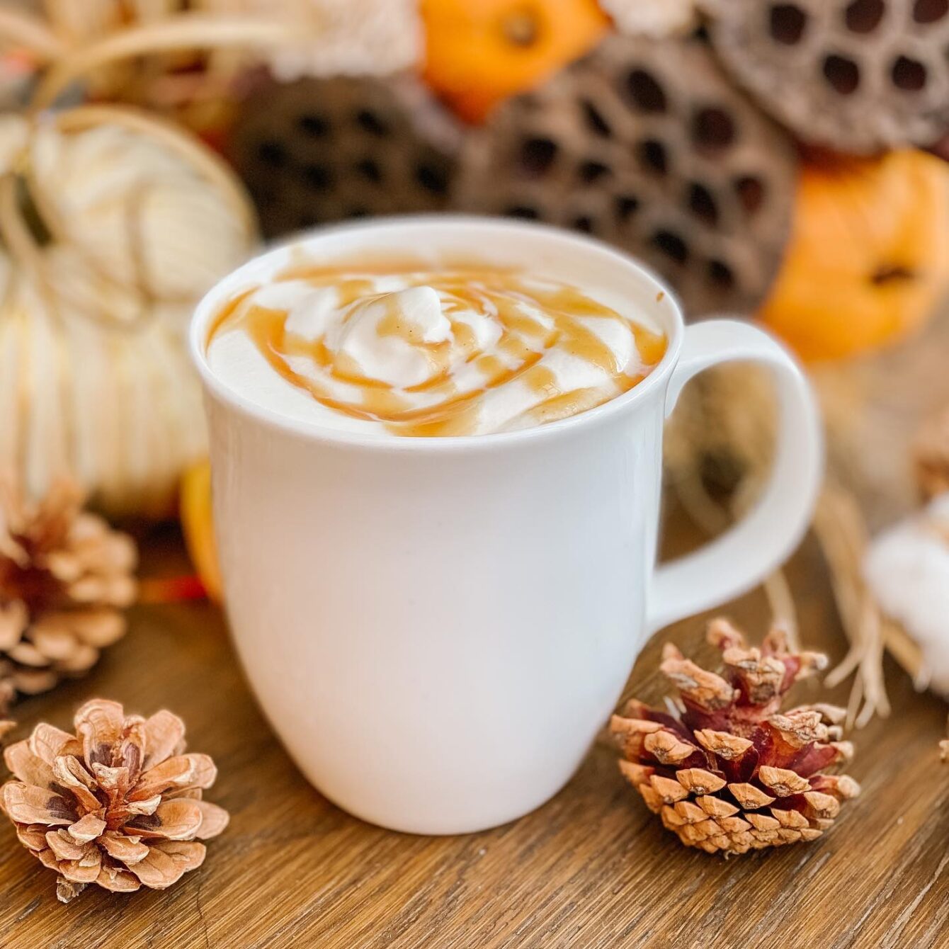 Timber Café Home Hardware Building Centre Lloydminster